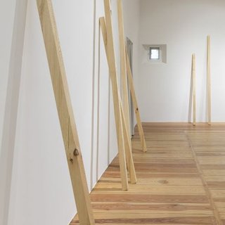 12 Vertical Tree Trunks And A Slanted Forest by Pak Sheung Chuen