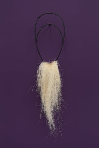 Sisal#17 by Kapwani Kiwanga